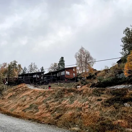 Sirdal Fjellpark מלון *